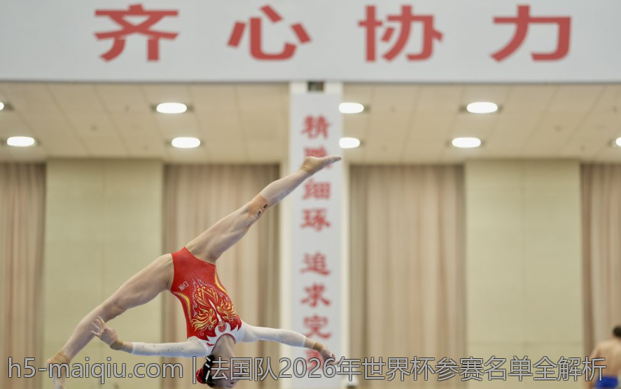 法国队2026年世界杯参赛名单全解析