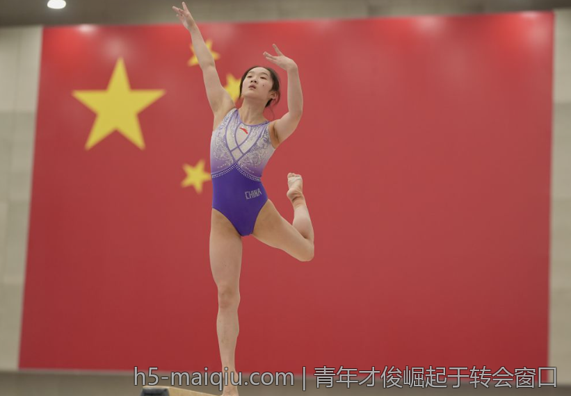 青年才俊崛起于转会窗口