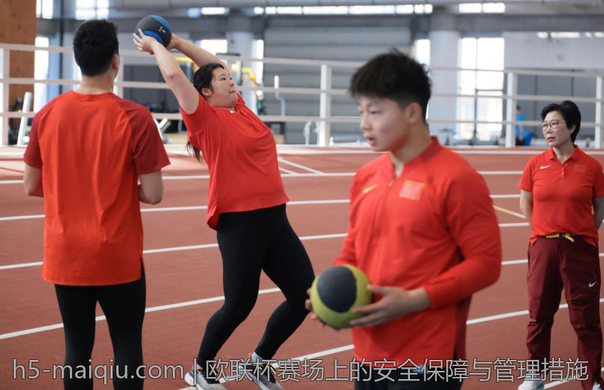欧联杯赛场上的安全保障与管理措施