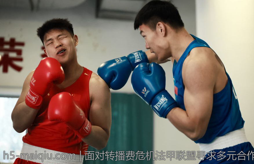 面对转播费危机法甲联盟寻求多元合作策略